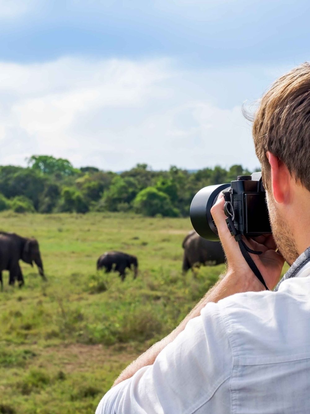 man-making-photos-of-elephant-2024-10-18-04-54-37-utc