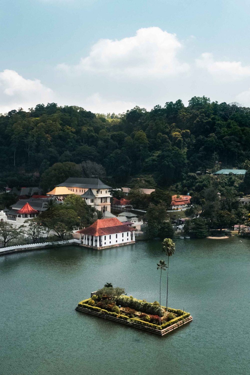 skyline-aerial-view-of-kandy-lake-city-and-temple-2023-11-27-05-17-04-utc (1)