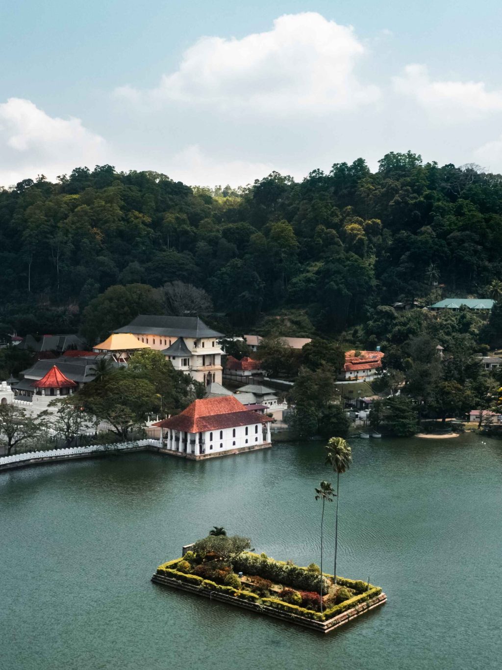 skyline-aerial-view-of-kandy-lake-city-and-temple-2023-11-27-05-17-04-utc (1)