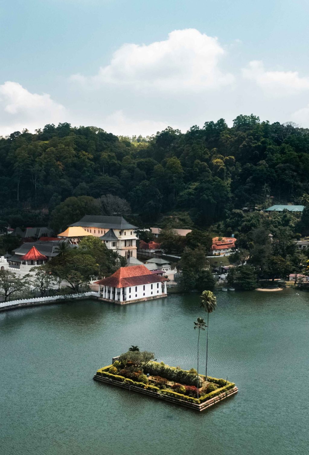skyline-aerial-view-of-kandy-lake-city-and-temple-2023-11-27-05-17-04-utc (1)